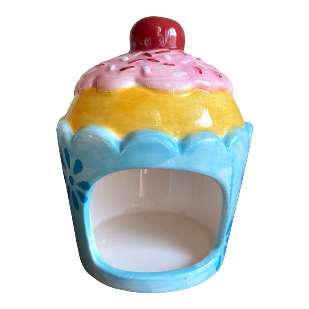 Pier One Imports Sponge Holder Cupcake with Sprinkles Cherry Vibrant Colors